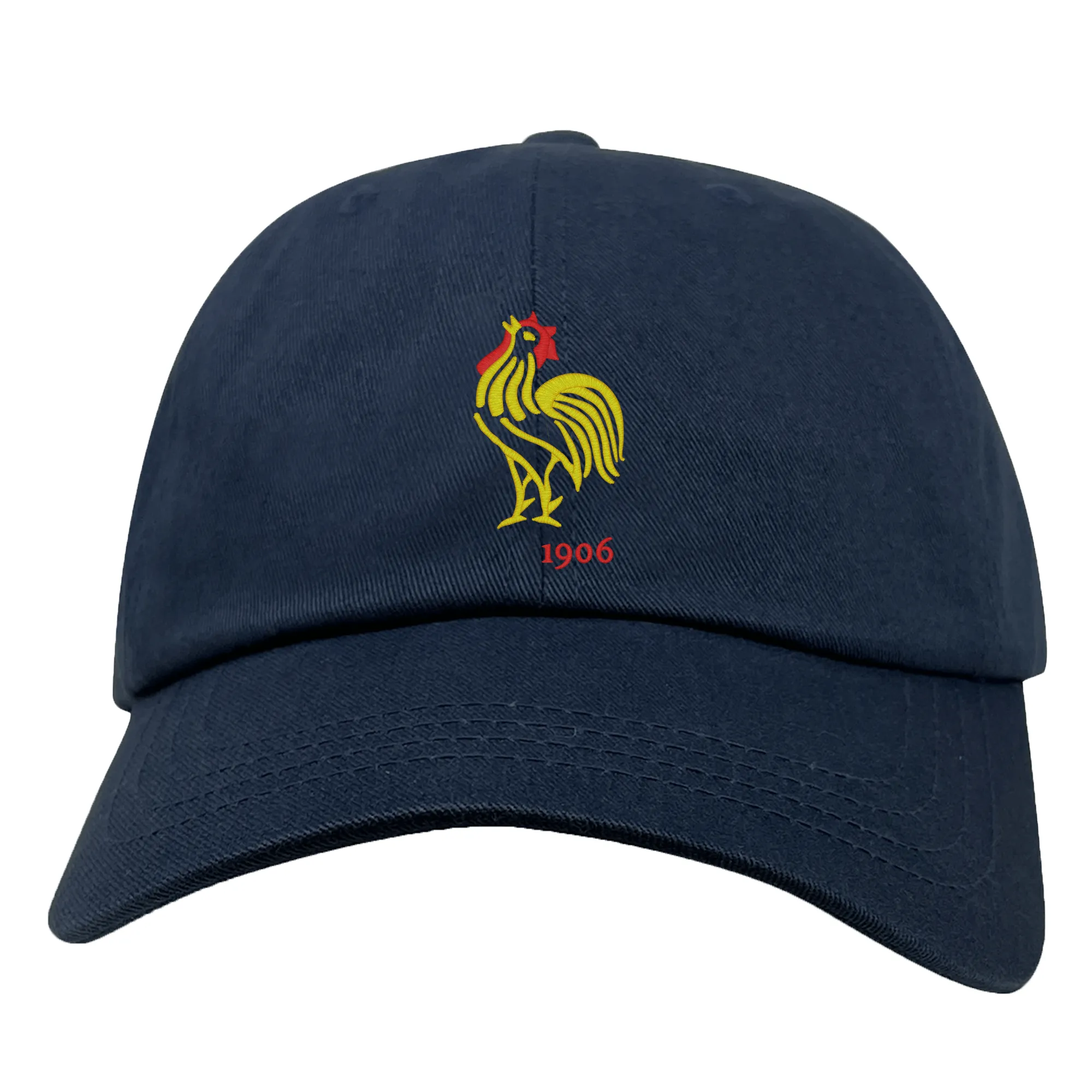 Nations of Rugby France Vintage Dad Cap