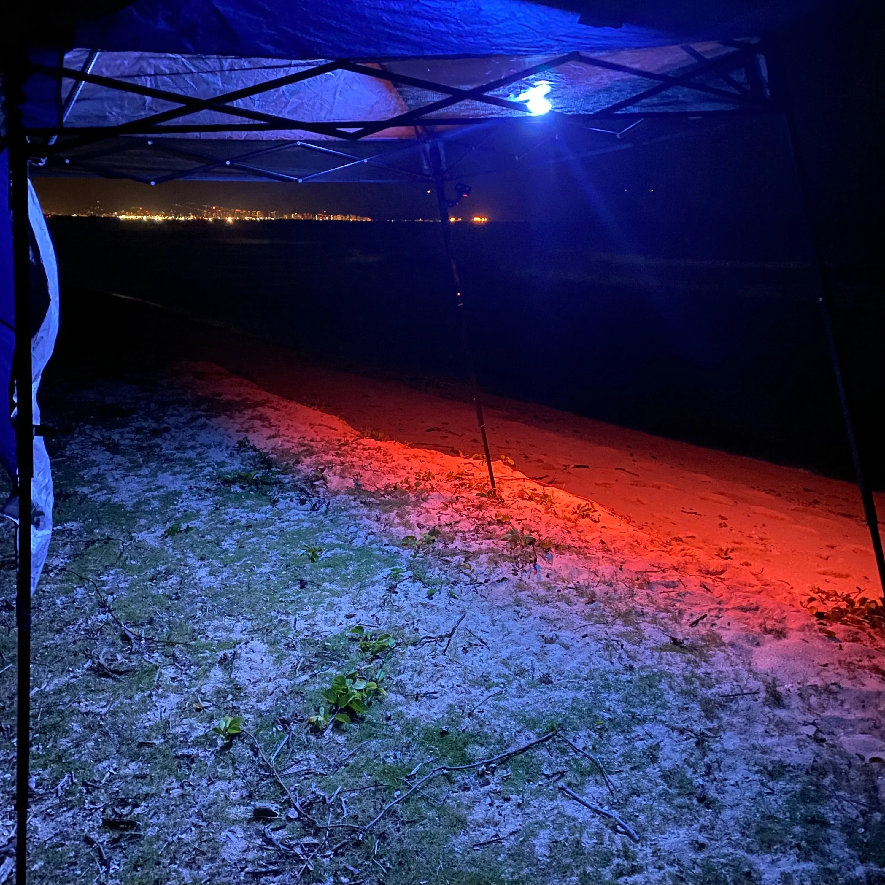 Rechargeable 750 Lumens Fish/Camp/Work/Dive Light with Adjustable Clamp