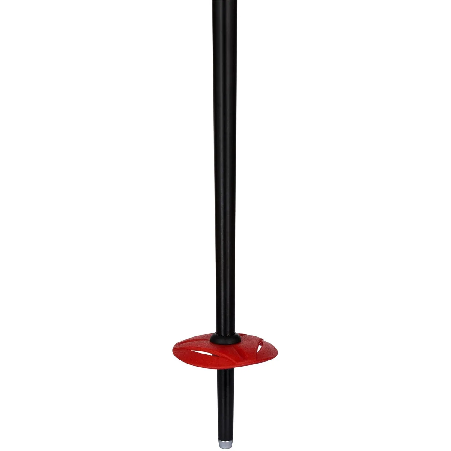 Speed Ski Pole 2022